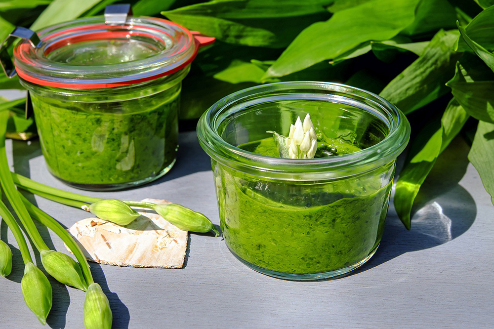 pesto z medvedieho cesnaku