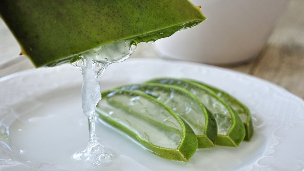 listy aloe vera so šťavou