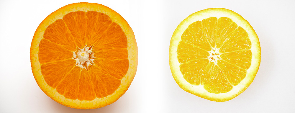 Detail prierezu pomaranča a citrónu na svetom podklade