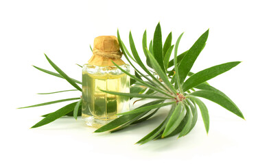 Tea Tree Oil kozmetika
