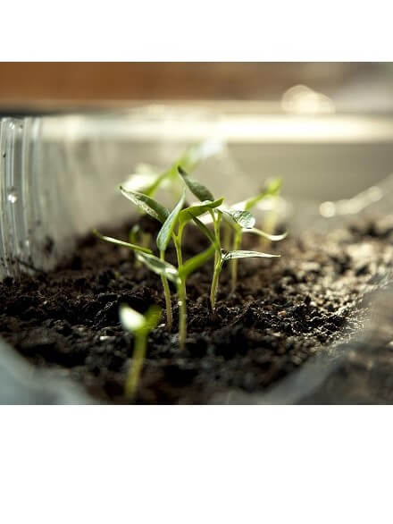Agro Substrát na výsev a množenie 20l 