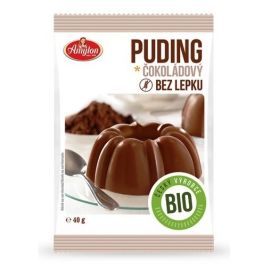 Amylon Puding čokoládový bez lepku BIO 40g