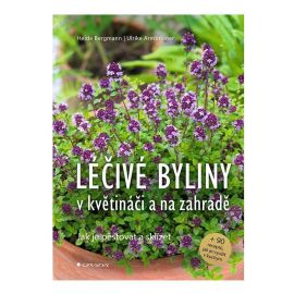 Liečivé byliny v kvetináči a na záhrade