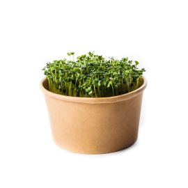 Microgreens Brokolica - sada na pestovanie