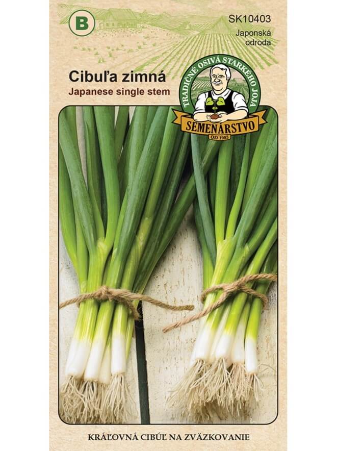 Semenárstvo Cibuľa zimná na zväzkovanie 3g