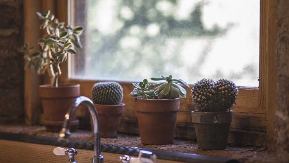 Umývanie okien – EKO tipy našich babičiek