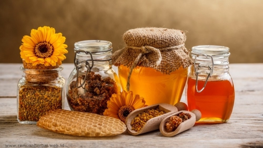 Propolis – unikátna prírodná látka s antibiotickými vlastnosťami