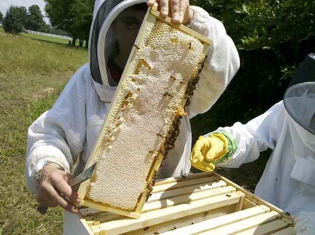 Čo je to vlastne med?